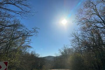 Фото №1: Земельный участок 9.37 сот. - Шабановское, ул. Лесная, 3