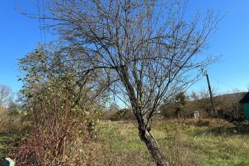 Фото №2: Земельный участок 9.37 сот. - Шабановское, ул. Лесная, 3