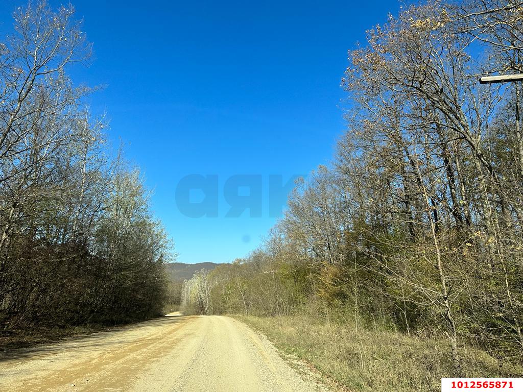 Фото №8: Земельный участок 9.37 сот. - Шабановское, ул. Лесная, 3