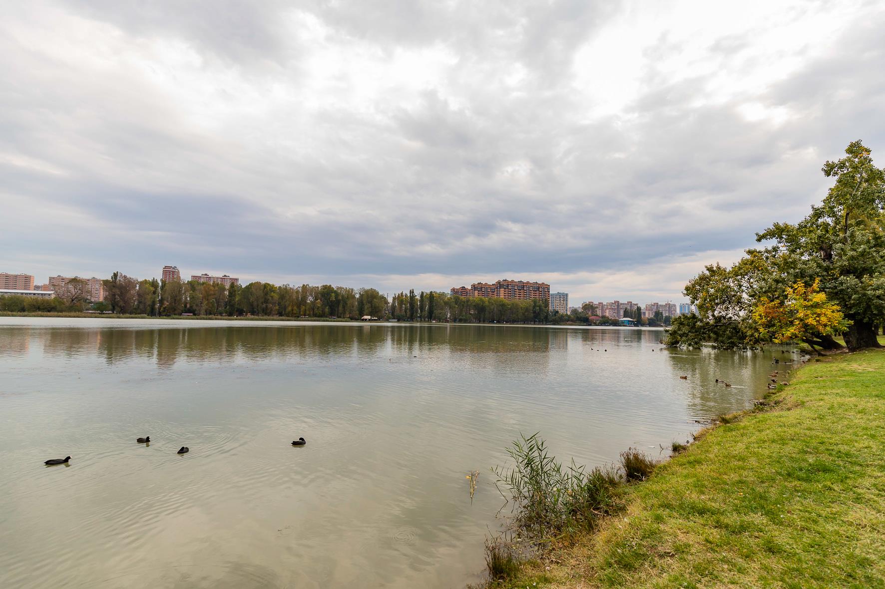 Фото №17: 1-комнатная квартира 45 м² - Краснодар, Центральный внутригородской округ, мкр. Черёмушки, ул. Кубанская, 54