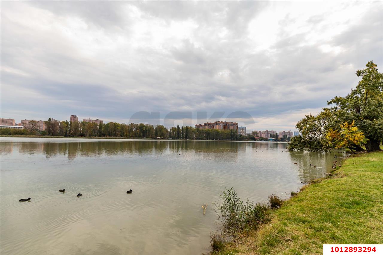 Фото №15: 1-комнатная квартира 45 м² - Краснодар, Черёмушки, ул. Кубанская, 54