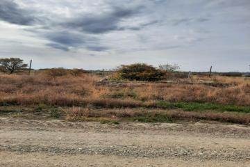 Фото №3: Коммерция 19 м² - Республика Адыгея (Адыгея) Теучежский район