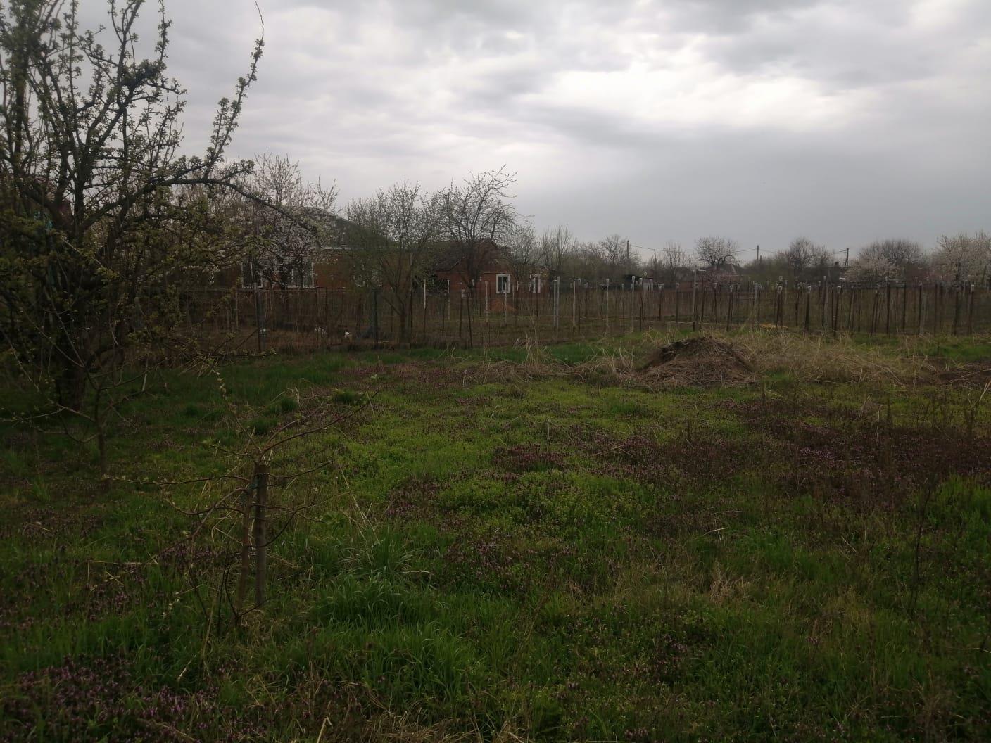 Фото №4: Дом 67 м² + 14.6 сот. - Ладожская, ул. Белинского, 3