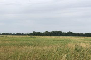 Фото №1: Земельный участок 14.86 сот. - Прикубанский, ул. Ленина, 5