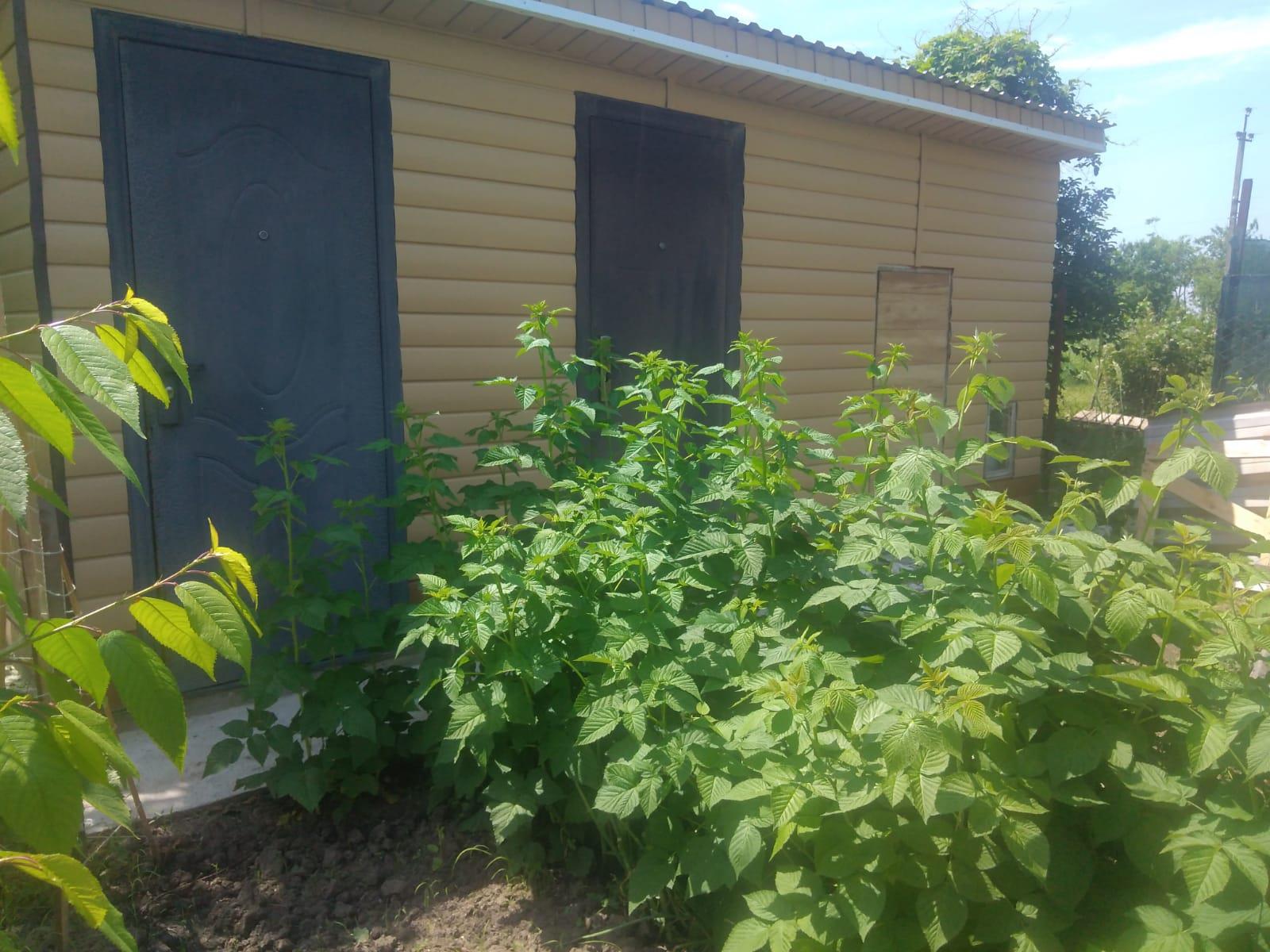 Фото №9: Дом 45 м² + 4.23 сот. - Берег Кубани ВНИИ риса, мкр. Прикубанский внутригородской округ, ул. Жасминовая, 11