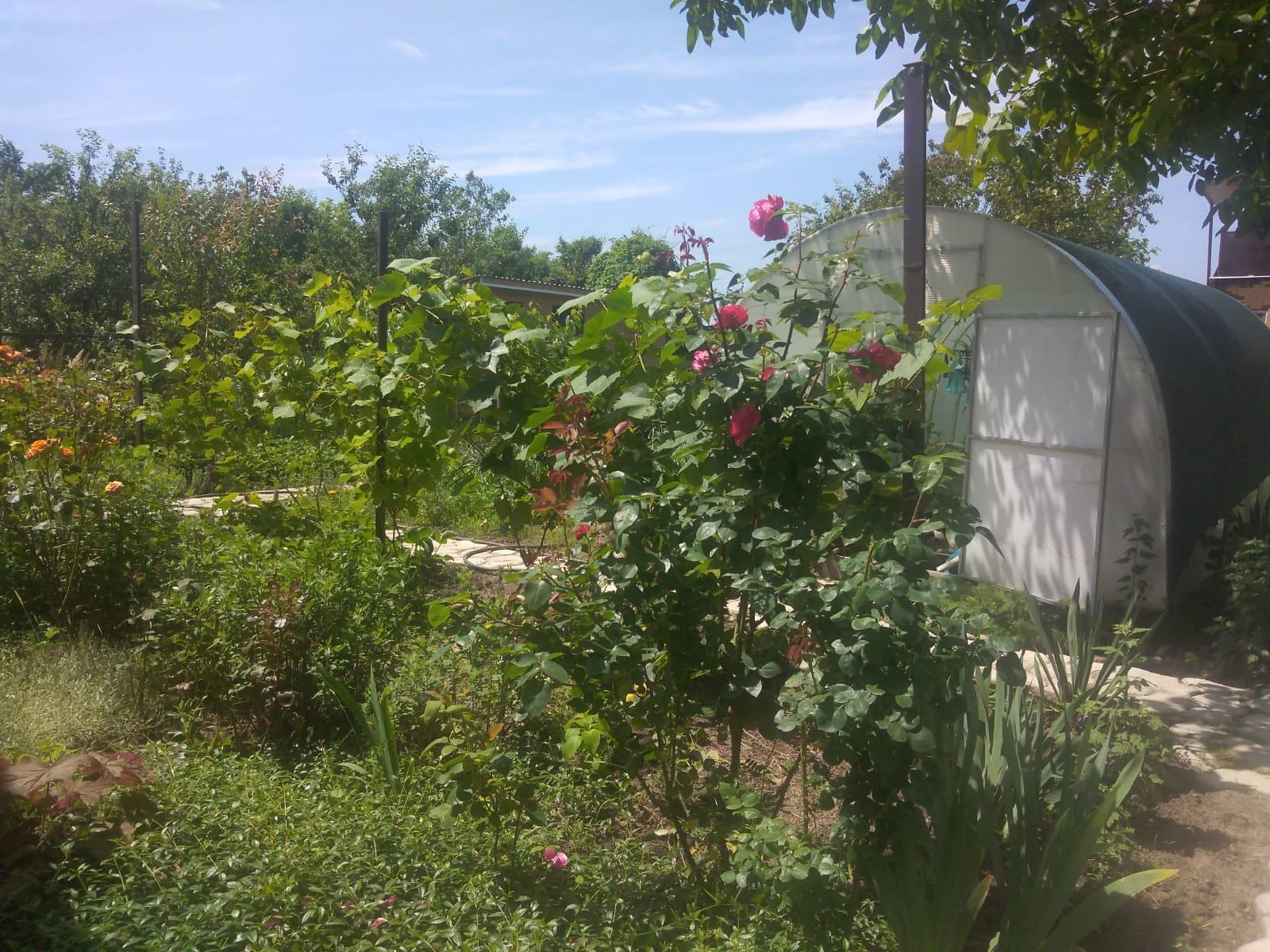 Фото №7: Дом 45 м² + 4.23 сот. - Берег Кубани ВНИИ риса, мкр. Прикубанский внутригородской округ, ул. Жасминовая, 11