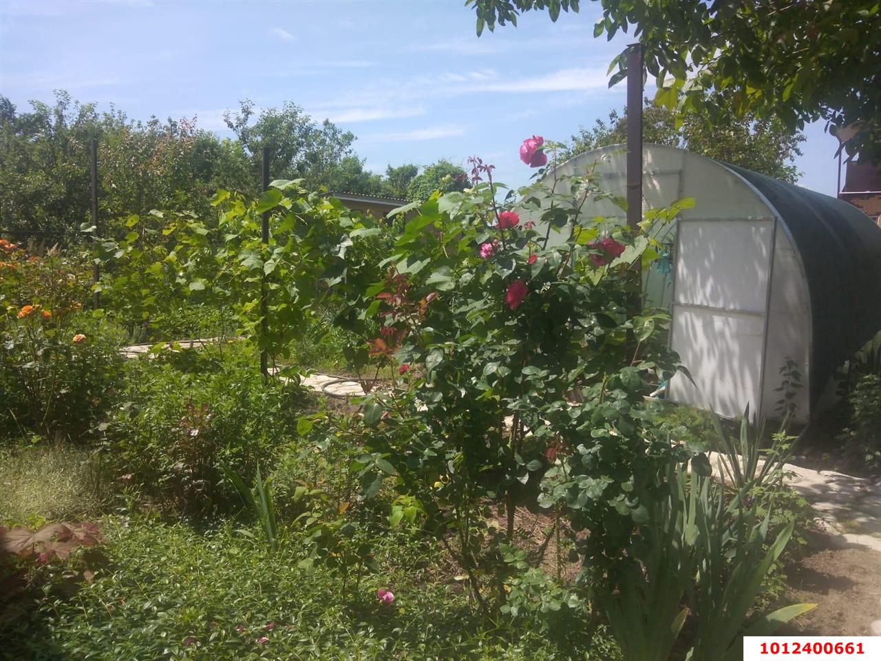 Фото №7: Дом 45 м² + 4.23 сот. - Берег Кубани ВНИИ риса, Прикубанский внутригородской округ, ул. Жасминовая, 11