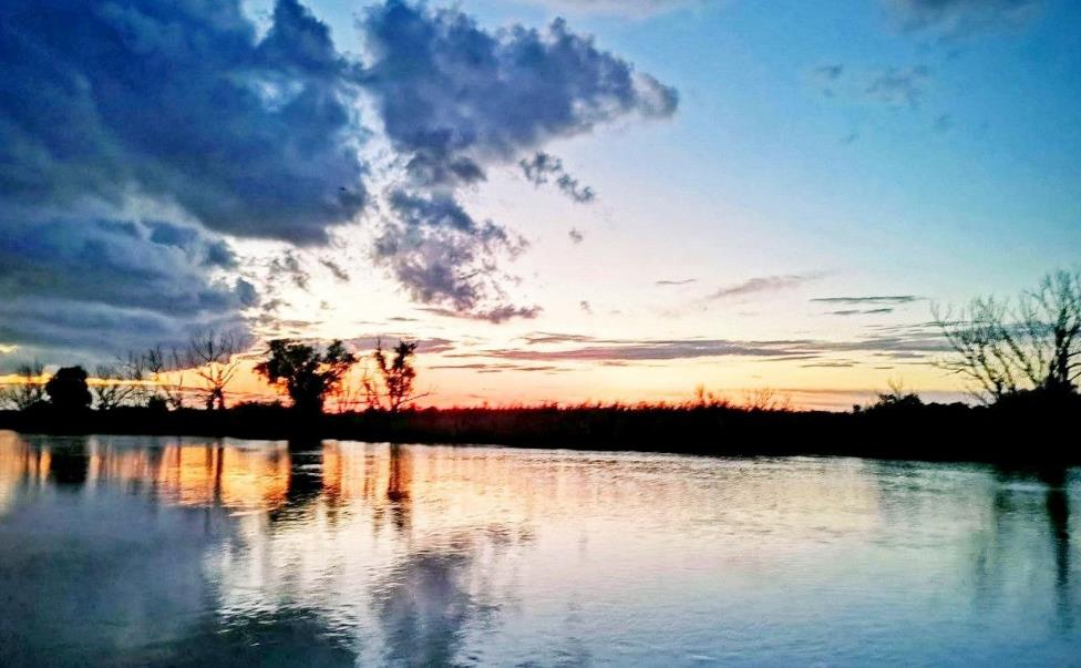 Фото №3: Коммерция 110 м² - Краснодарский край Славянский район