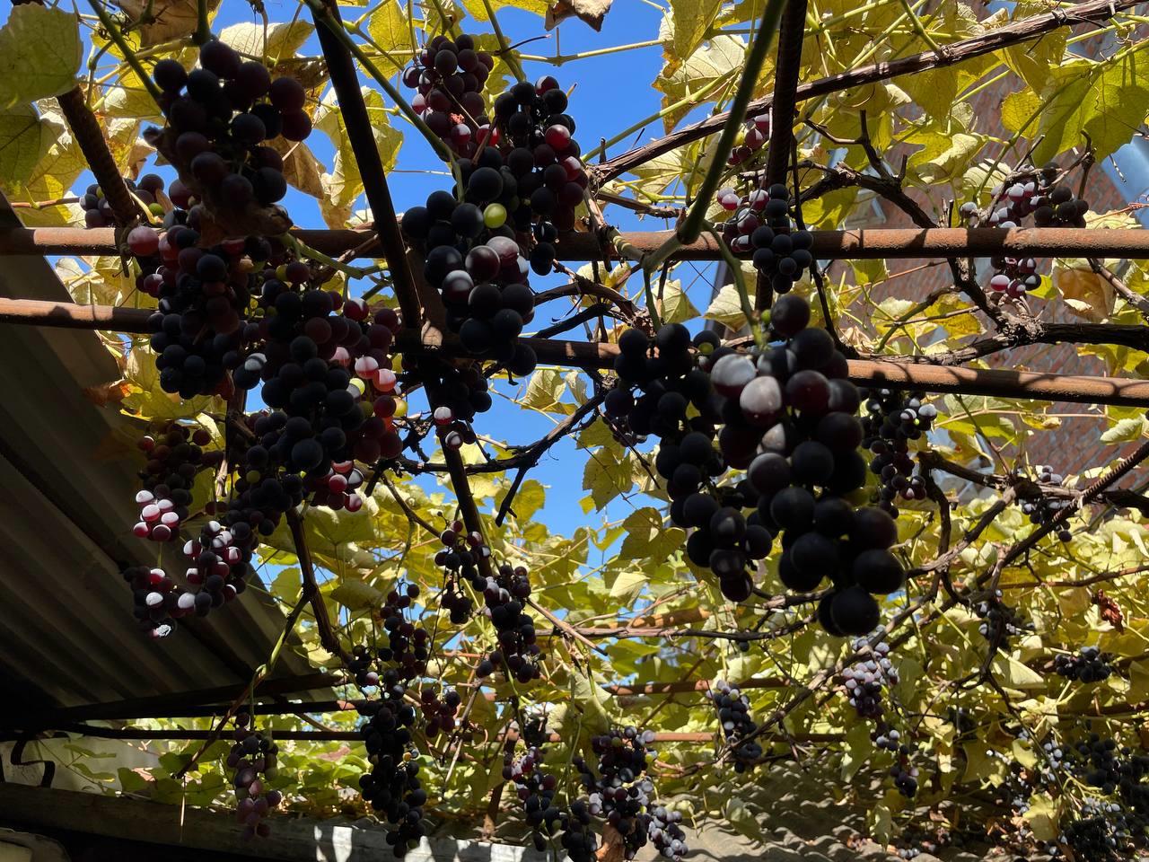 Фото №10: Дом 135 м² + 4.35 сот. - Краснодар, Западный внутригородской округ, мкр. Фестивальный, ул. Северная, 157