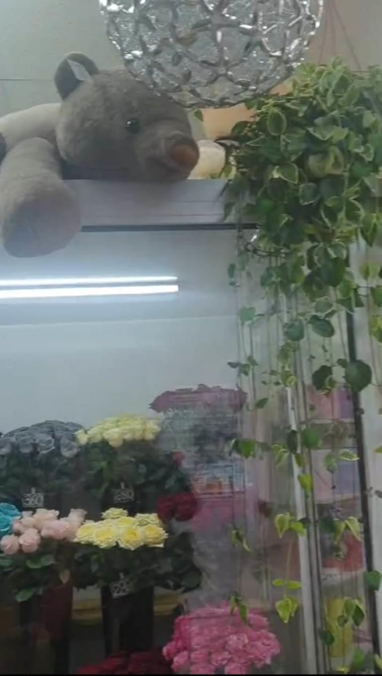 Фото №11: Коммерция 721 м² - Темрюк, ул. Парижской Коммуны, 38