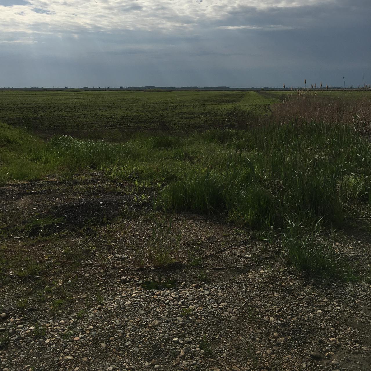 Фото №4: Коммерция 948 м² - Энем, ул. Седина, 64/2