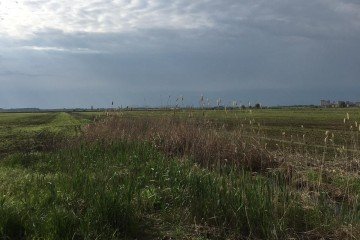Фото №2: Коммерческая земля 300 сот. - Энем, ул. Седина, 64/2