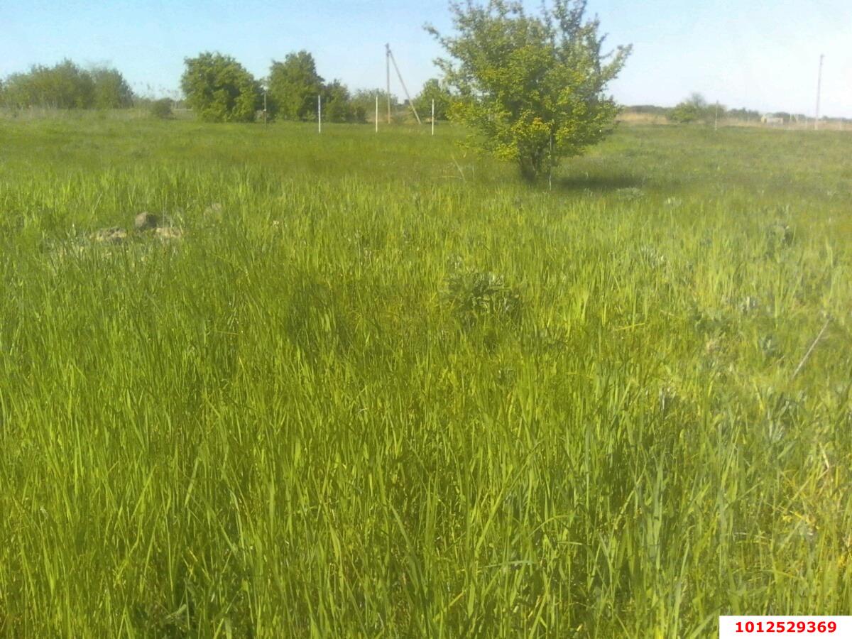 Фото №3: Участок садоводство 7 сот. - Новый Сад