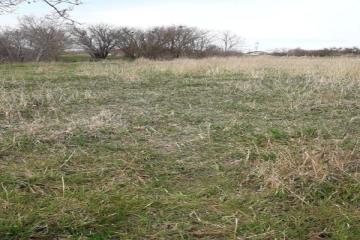 Фото №1: Коммерция 19 м² - Кучугуры, ул. Киевская, 3