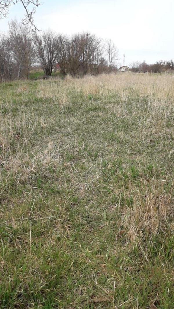 Фото №1: Коммерция 19 м² - Кучугуры, ул. Киевская, 3