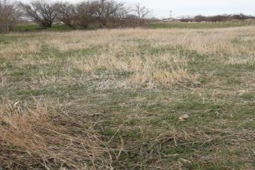 Фото №2: Коммерция 19 м² - Кучугуры, ул. Киевская, 3