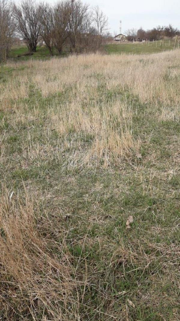 Фото №2: Коммерция 19 м² - Кучугуры, ул. Киевская, 3