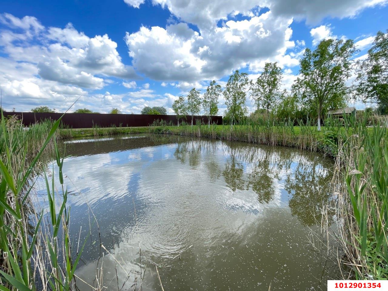 Фото №13: Дом 197 м² + 14 сот. - Красносельское, ул. Школьная, 6