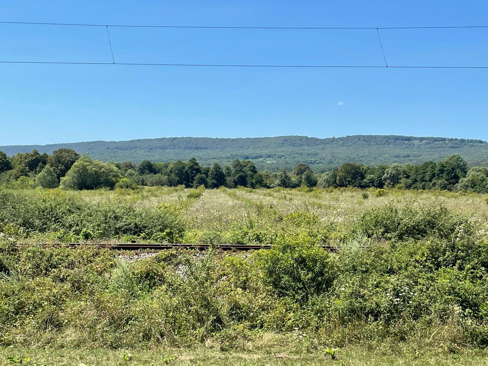 Фото №2: Коммерция 620 м² - Абадзехская, ул. Полевая, 1