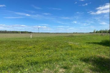 Фото №3: Коммерция 200 м² - Старокорсунская, мкр. Карасунский внутригородской округ, 86