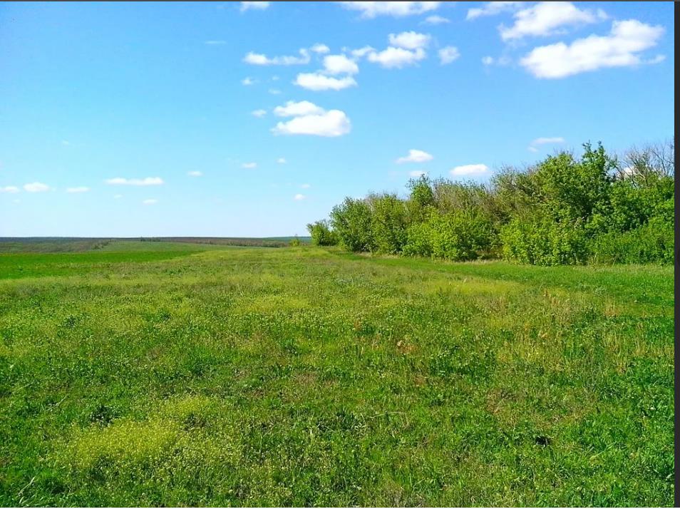 Фото №2: Коммерция 200 м² - Старокорсунская, 86