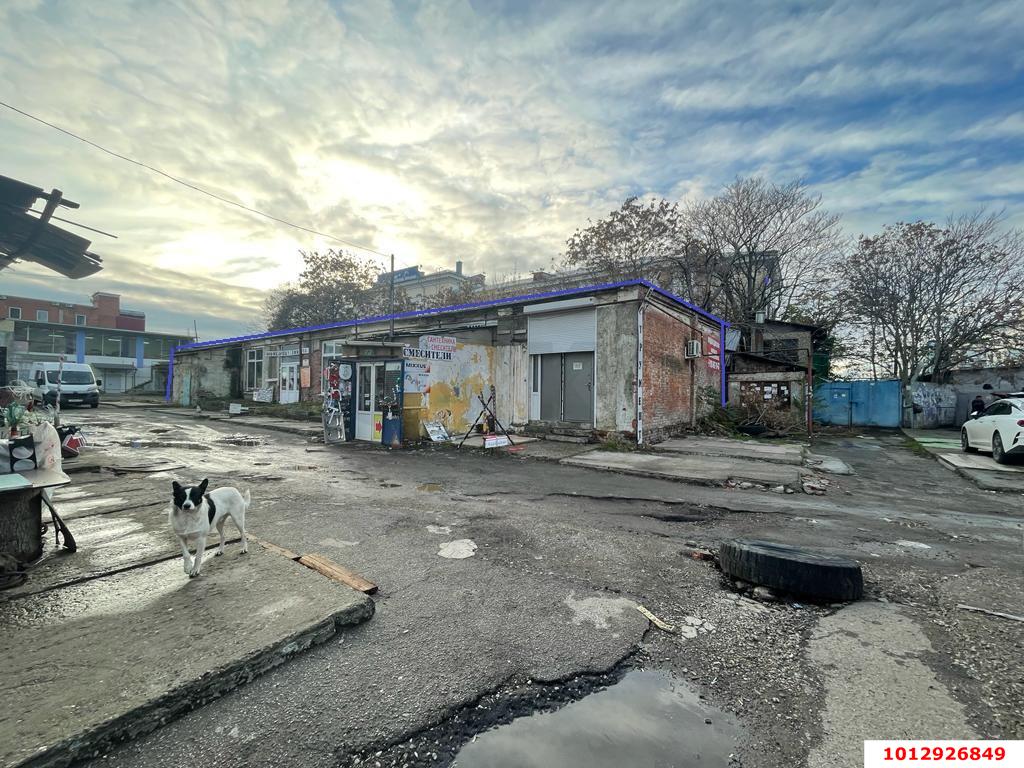 Фото №1: Торговое помещение 380 м² - Краснодар, Центральный, ул. Октябрьская, 177/2