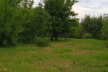 Фото №5: Земельный участок под ИЖС - Платнировская, ул. Северная, 2