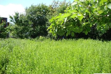 Фото №2: Земельный участок под ИЖС - Платнировская, ул. Северная, 2