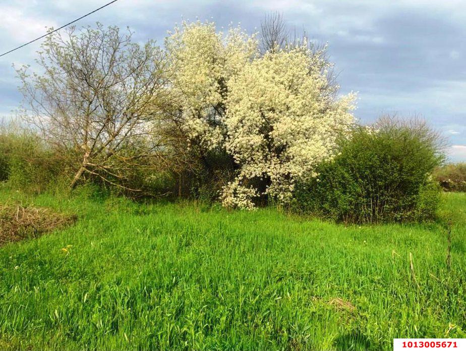 Фото №4: Земельный участок под ИЖС 10.3 сот. - Платнировская, ул. Северная, 2