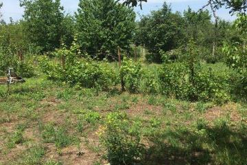 Фото №3: Земельный участок под ИЖС - Платнировская, ул. Северная, 2