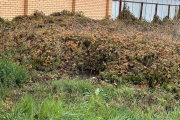 Фото №3: Земельный участок под ИЖС 10.5 сот. - Знаменский, мкр. Карасунский внутригородской округ, ул. Угловая, 25