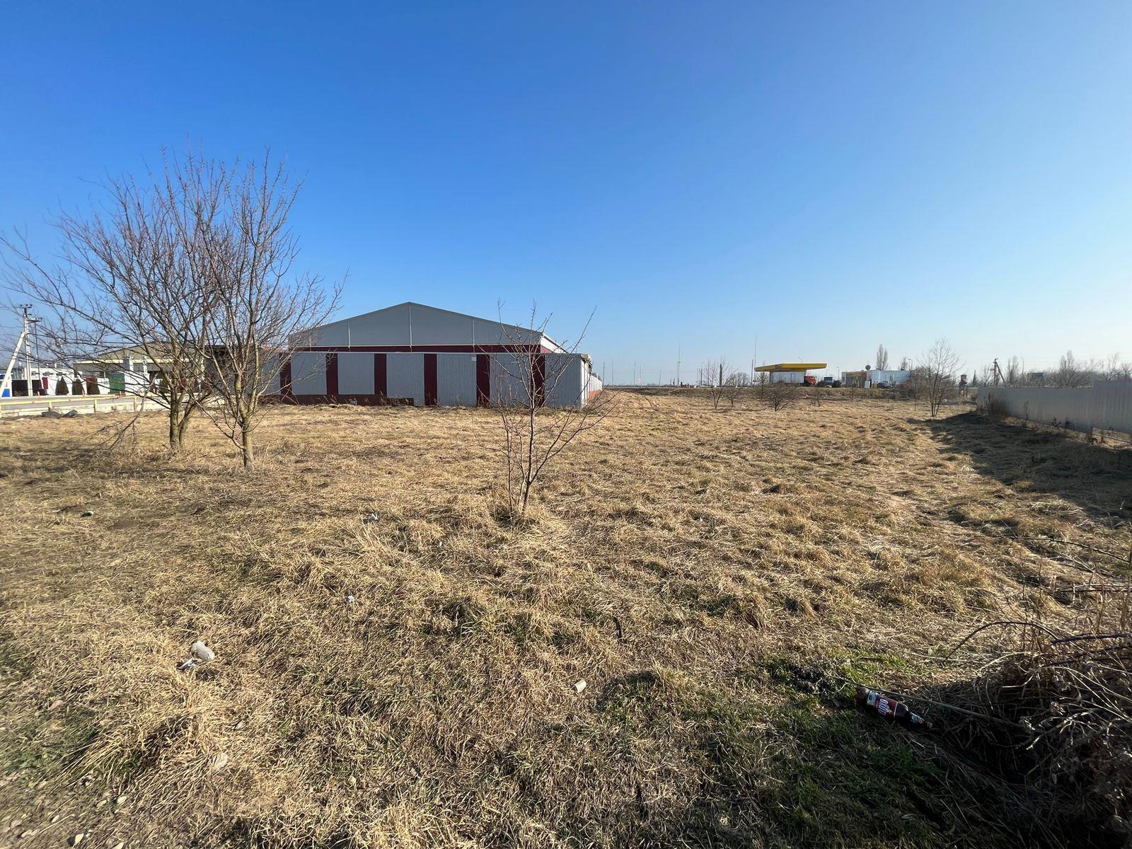 Фото №2: Коммерция 42 м² - Новотитаровская, ул. 8 Марта, 21В