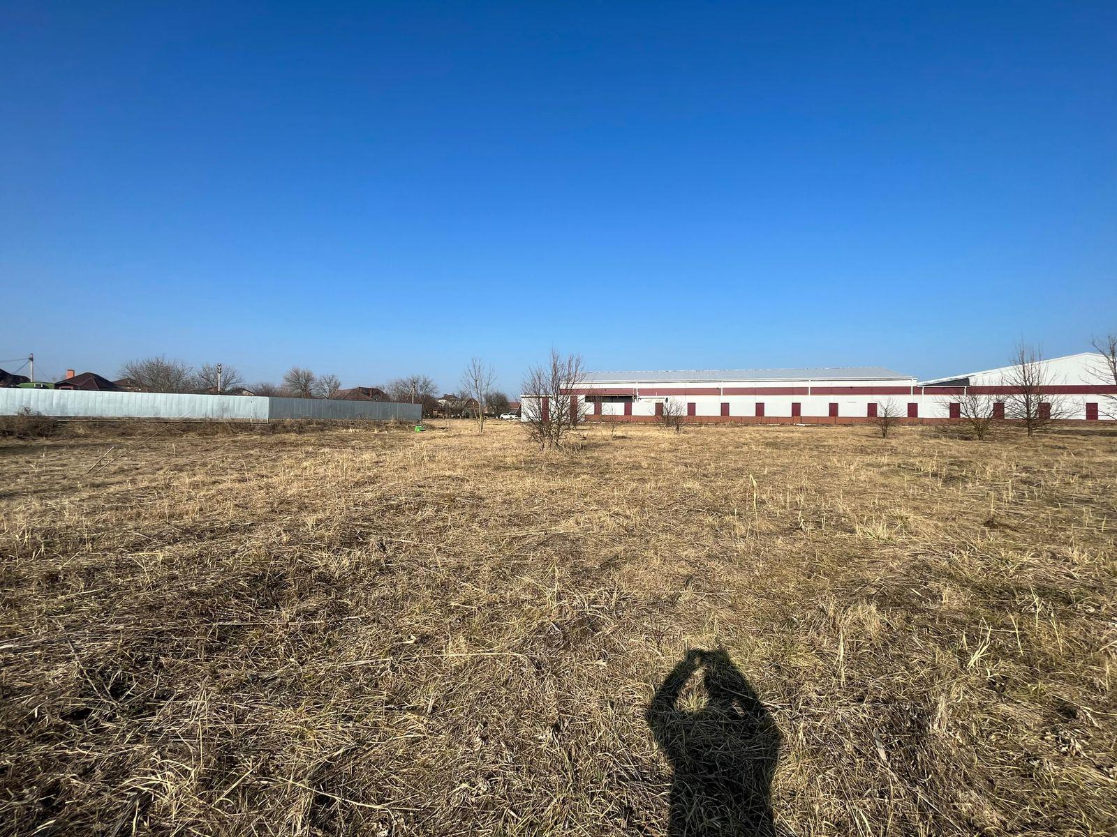 Фото №5: Коммерция 42 м² - Новотитаровская, ул. 8 Марта, 21В