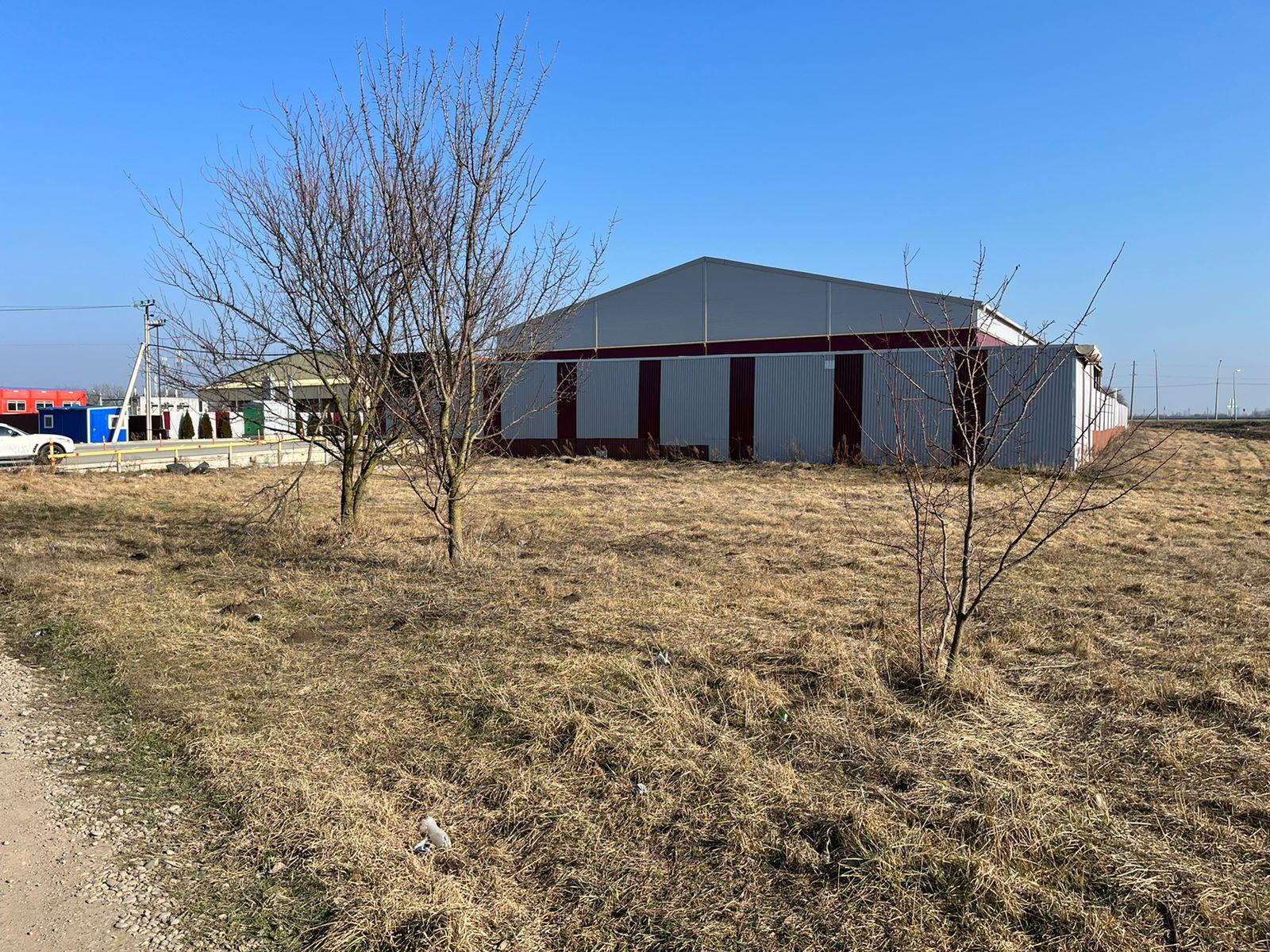 Фото №6: Коммерция 42 м² - Новотитаровская, ул. 8 Марта, 21В