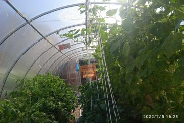 Фото №4: Дом 100 м² - Ленина, ст Восток, ул. Солнечная, 385