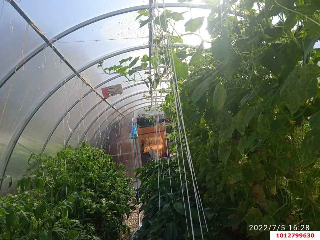 Фото №4: Дом 100 м² + 4 сот. - Ленина, Карасунский внутригородской округ, ст Восток, ул. Солнечная, 385