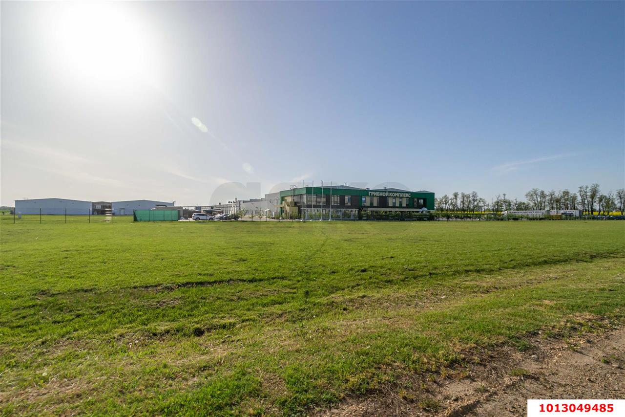 Фото №7: Дом 268 м² + 200 сот. - Дорожный, Карасунский внутригородской округ, ул. Новая