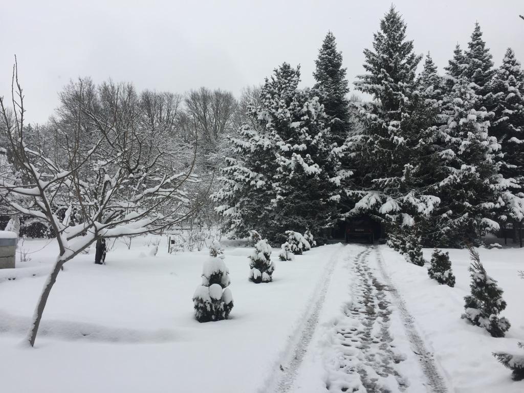 Фото №9: Дом 85 м² + 10 сот. - Шебш