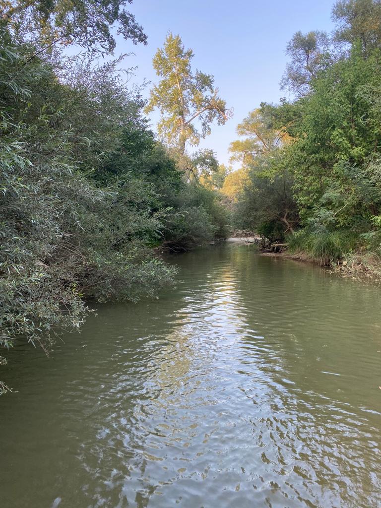 Фото №8: Дом 85 м² + 10 сот. - Шебш