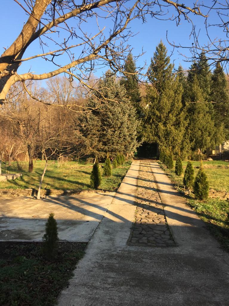 Фото №6: Дом 85 м² + 10 сот. - Шебш