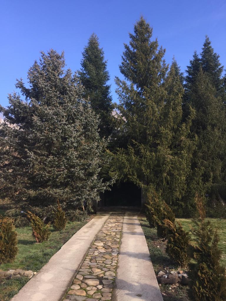 Фото №11: Дом 85 м² + 10 сот. - Шебш