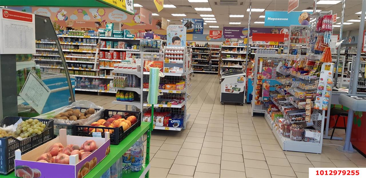 Фото №5: Торговое помещение 514 м² - Геленджик, мкр. Магилат, ул. Сурикова, 42