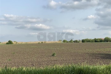 Фото №5: Коммерческая земля 253 сот. - Динская, ул. Полевая, 10