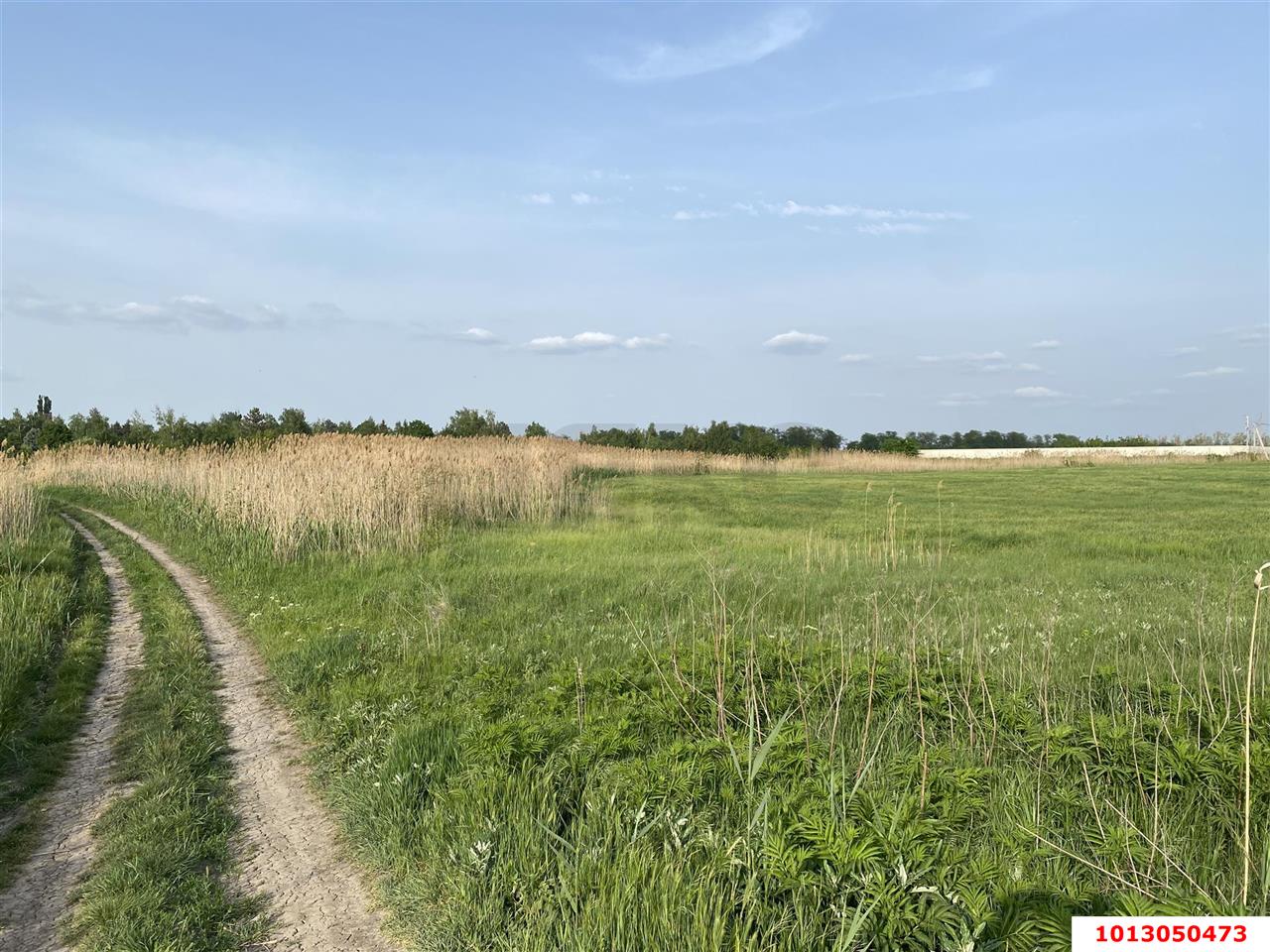 Фото №10: Коммерческая земля 253 сот. - Динская, ул. Полевая, 10