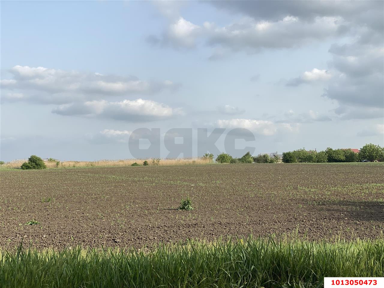 Фото №5: Коммерческая земля 253 сот. - Динская, ул. Полевая, 10