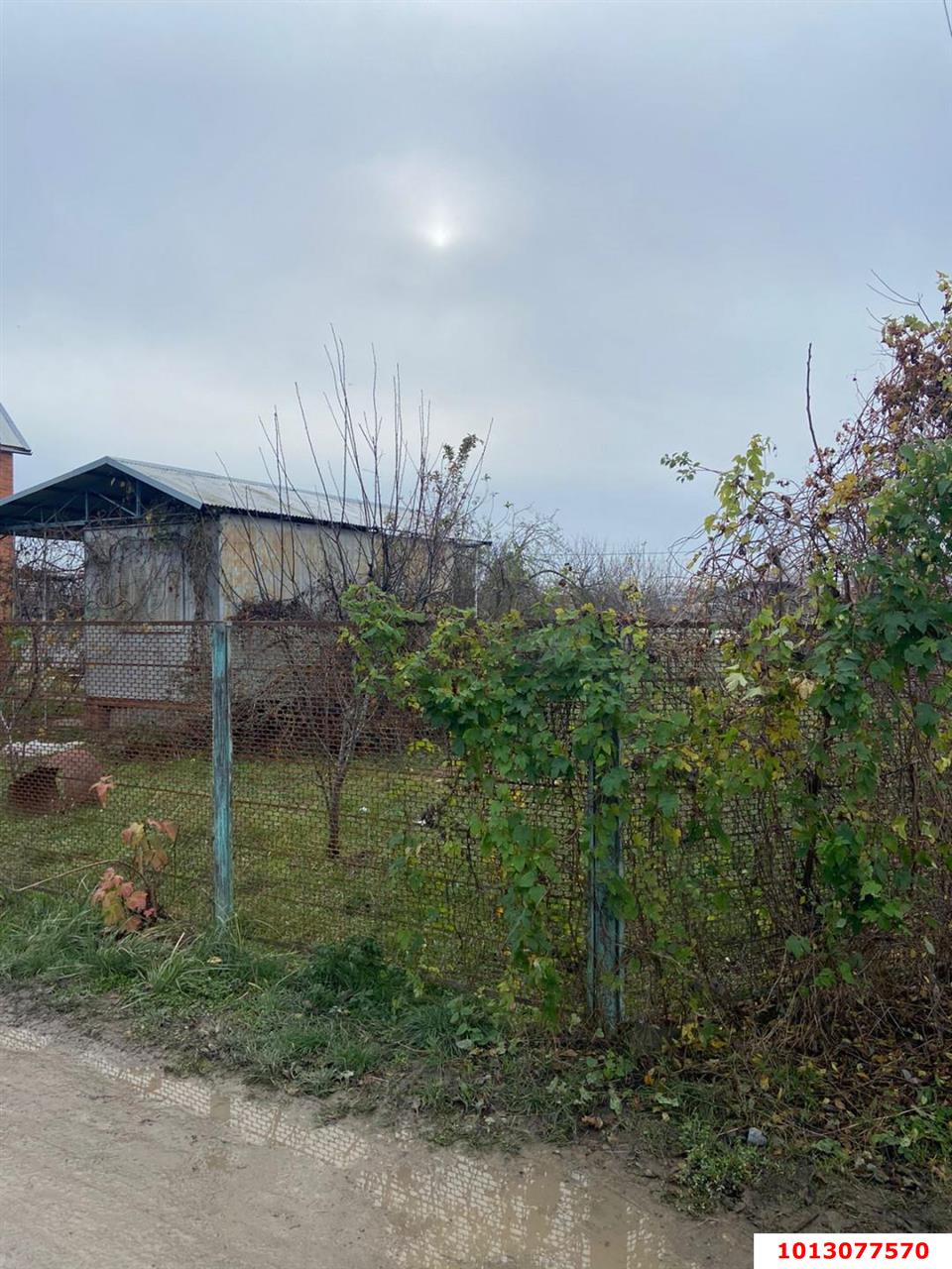 Фото №3: Участок садоводство 4 сот. - Юбилейное, Прикубанский внутригородской округ, ул. Малиновая, 28