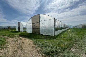 Фото №5: Коммерческая земля 310 сот. - Первомайский, ул. Мира, 1