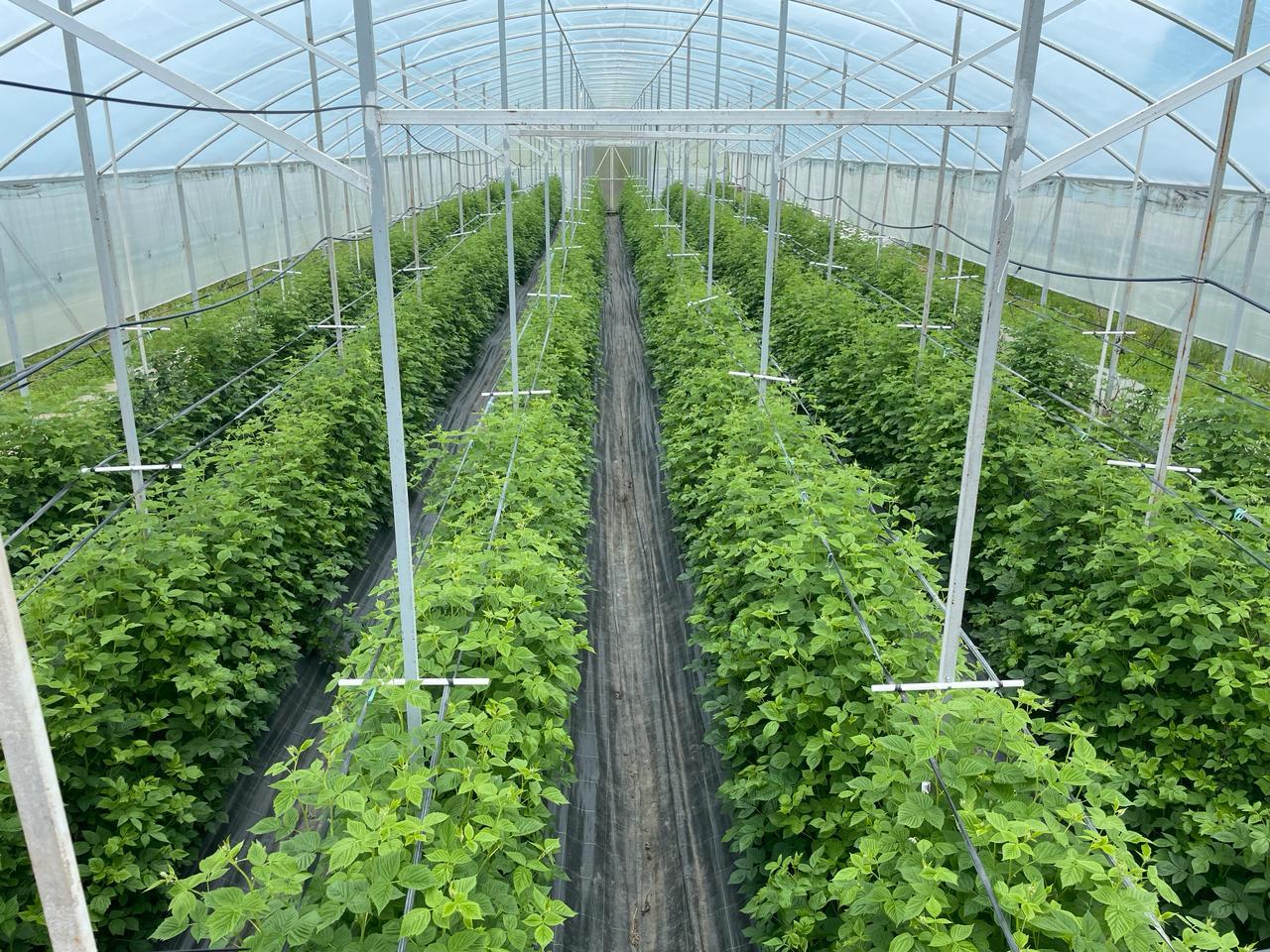 Фото №6: Коммерция 310 м² - Первомайский, ул. Мира, 1