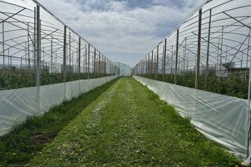 Фото №2: Коммерция 310 м² - Первомайский, ул. Мира, 1