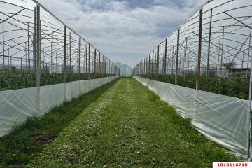 Фото №2: Коммерция 310 м² - Первомайский, ул. Мира, 1